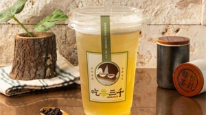 Green Tea / 松針綠茶